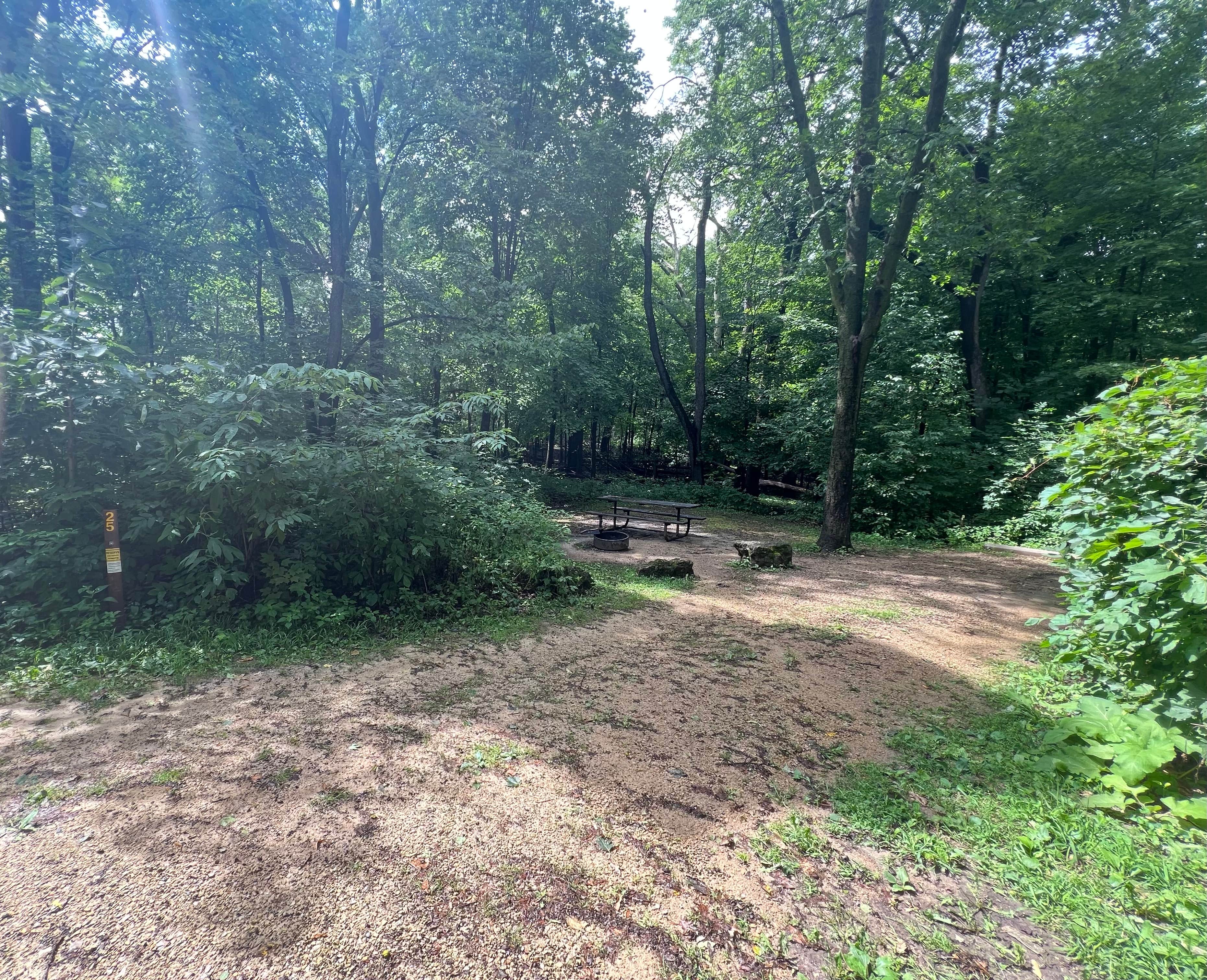 Maria D.'s photo of camping with pets at Frontenac State Park Campground near Menomonie, WI