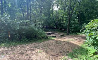 Maria D.'s photo of camping with pets at Frontenac State Park Campground near Menomonie, WI
