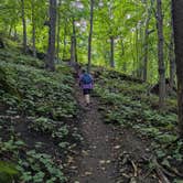 Review photo of Frontenac State Park Campground by Sarah D., October 17, 2025