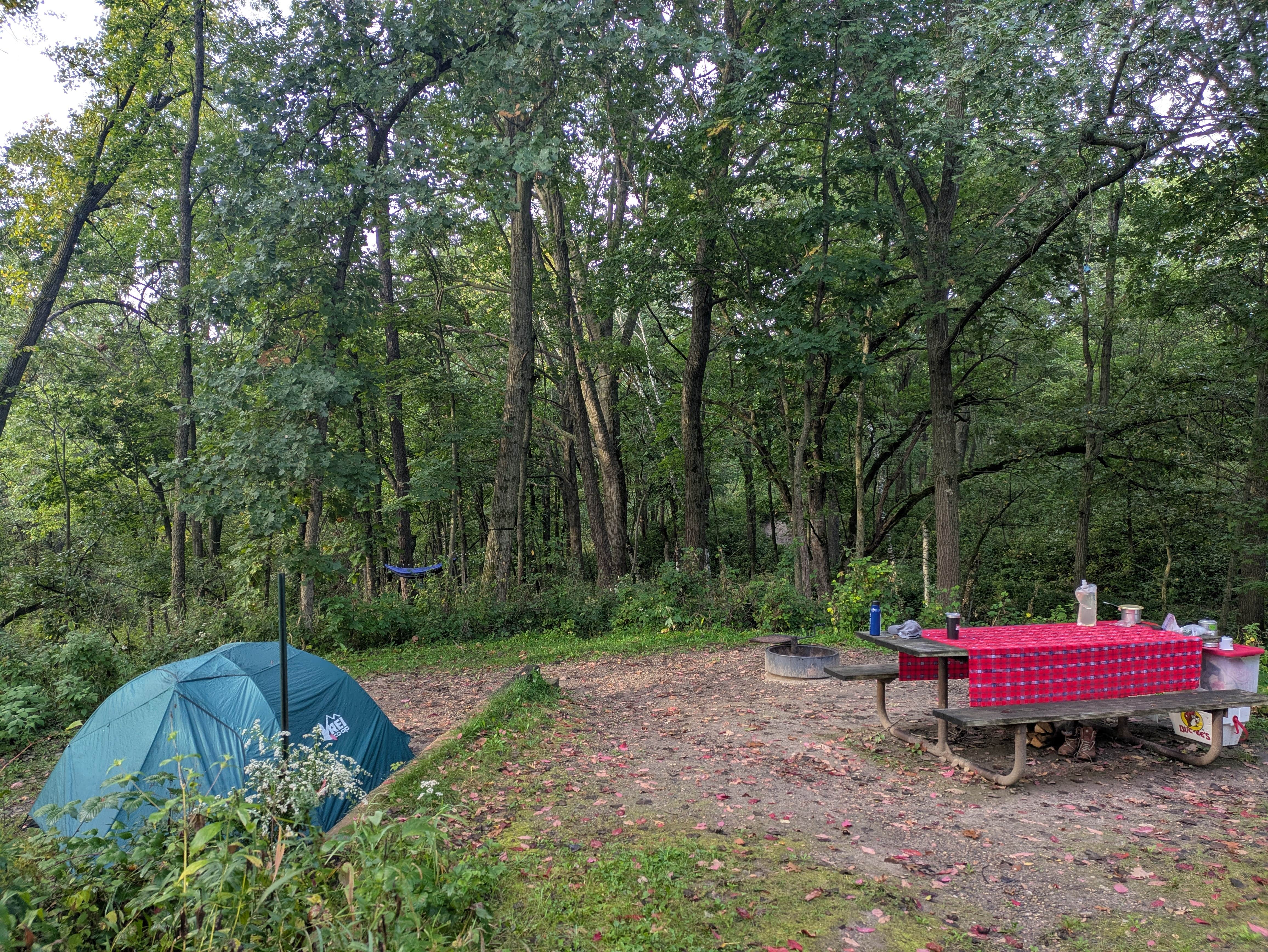 Sarah D.'s photo at Frontenac State Park Campground near Knapp, WI