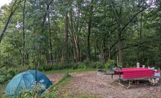 Sarah D.'s photo at Frontenac State Park Campground near Frontenac, MN
