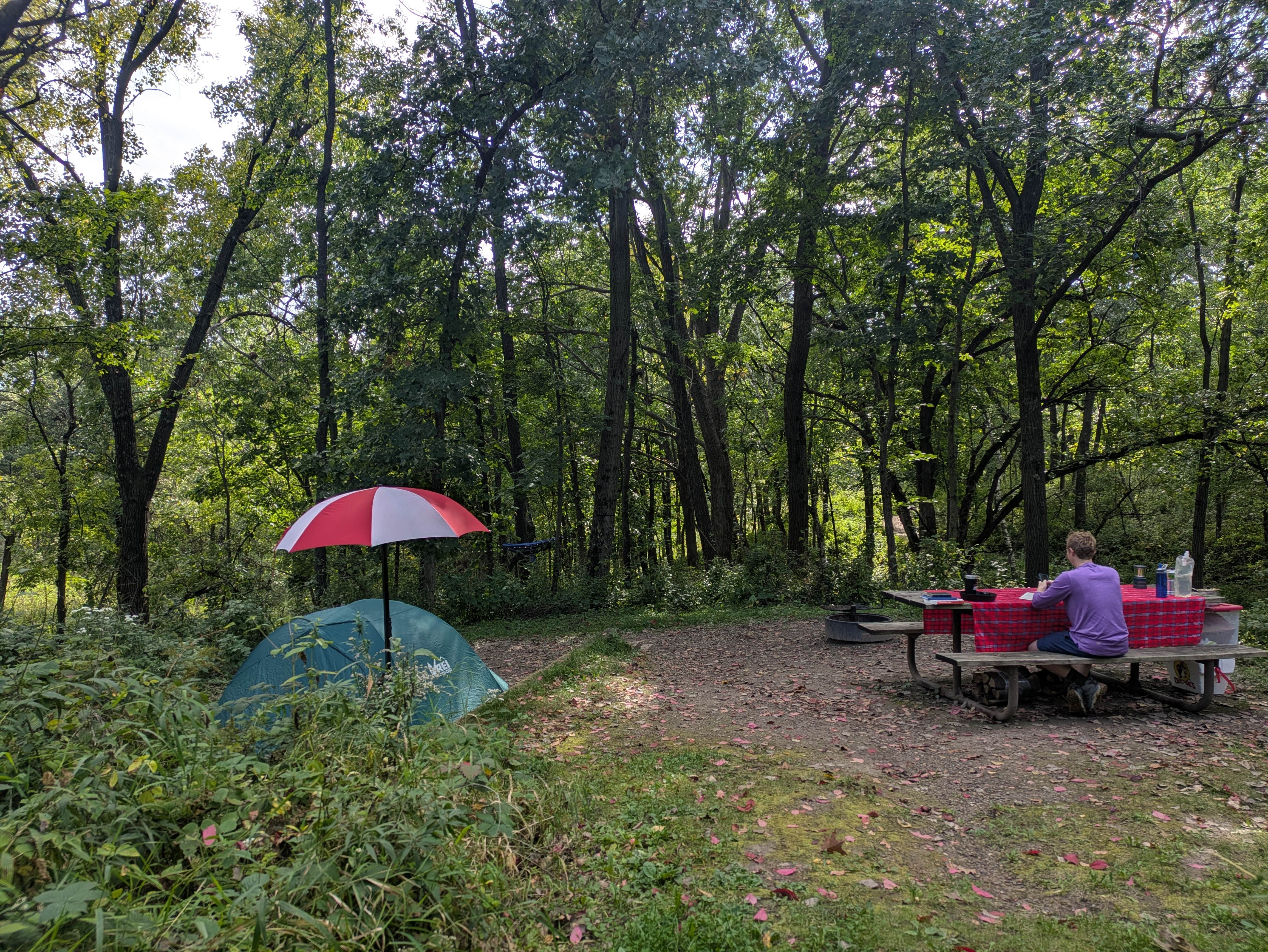 Sarah D.'s photo at Frontenac State Park Campground near Zumbrota, MN