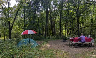 Sarah D.'s photo at Frontenac State Park Campground near Eau Galle Lake