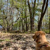 Review photo of Frontenac State Park Campground by Pad F., May 2, 2026