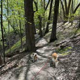 Review photo of Frontenac State Park Campground by Pad F., May 2, 2026