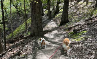 Pad F.'s photo of camping with pets at Frontenac State Park Campground near Hudson, WI