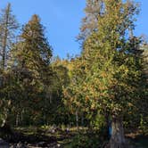 Review photo of George Crosby Manitou State Park by Joslyn H., September 24, 2024