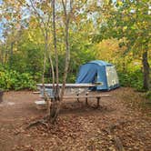 Review photo of Gooseberry Falls State Park Campground by Tori K., November 12, 2024