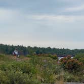 Review photo of Gooseberry Falls State Park Campground by Kathryn B., August 10, 2024