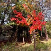 Review photo of Gooseberry Falls State Park Campground by Gerard E., September 28, 2026