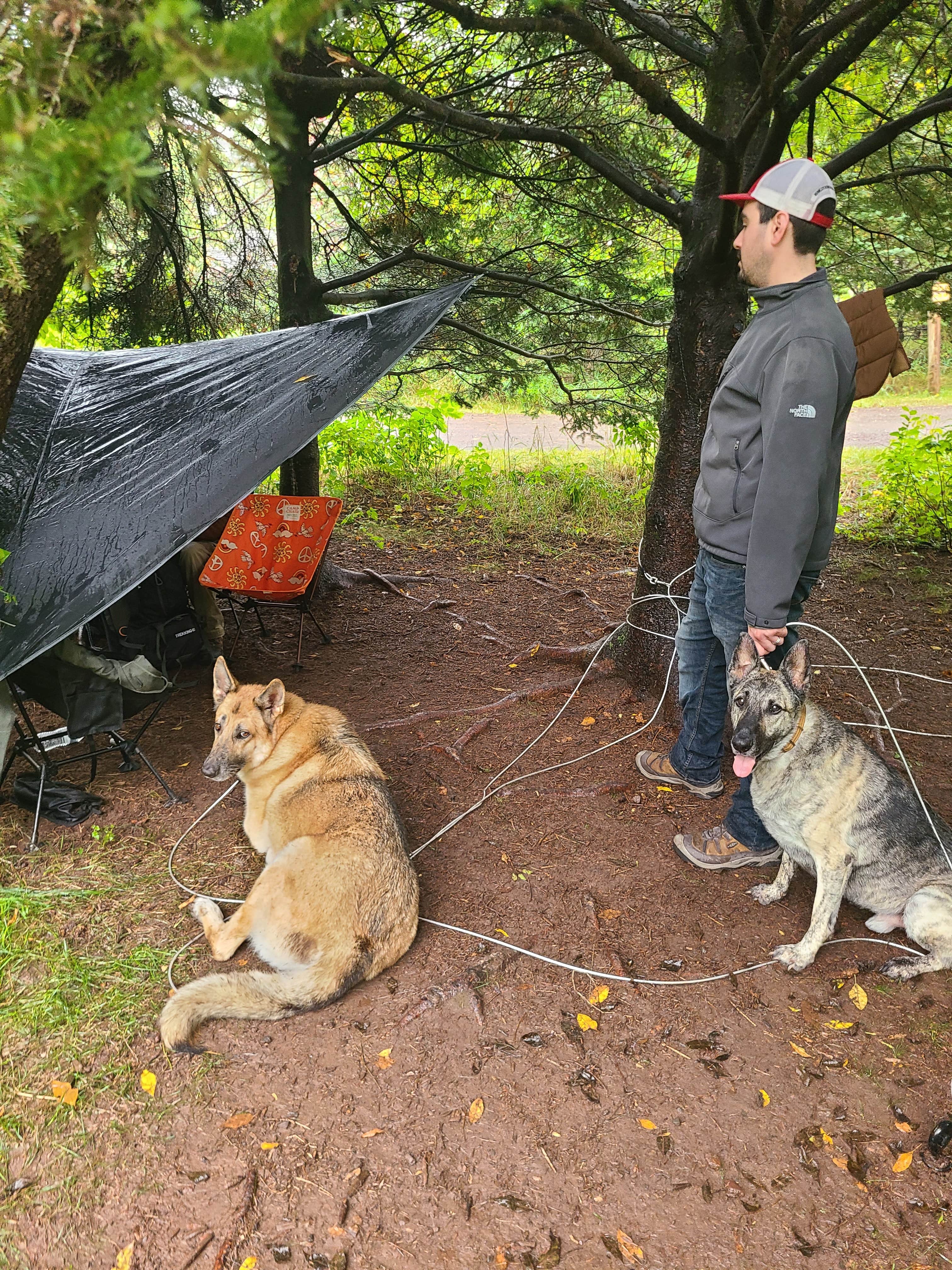 Tori K.'s photo of camping with pets at Gooseberry Falls State Park Campground near Duluth, MN