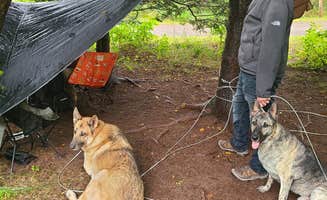 Tori K.'s photo of camping with pets at Gooseberry Falls State Park Campground near Port Wing, WI