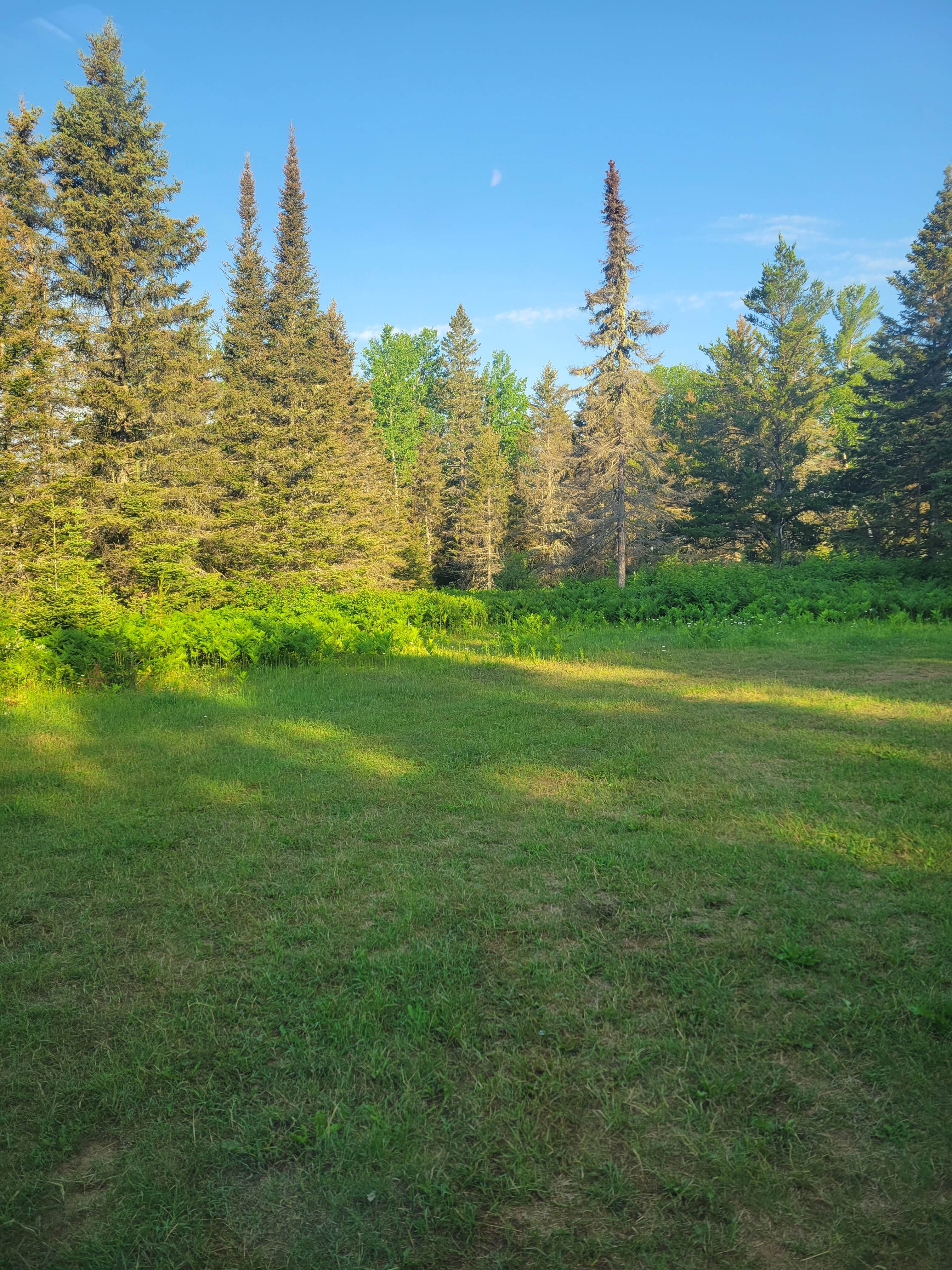 Camper submitted image from Harriet Lake Rustic Campground - 1