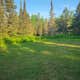 Harriet Lake Rustic Campground