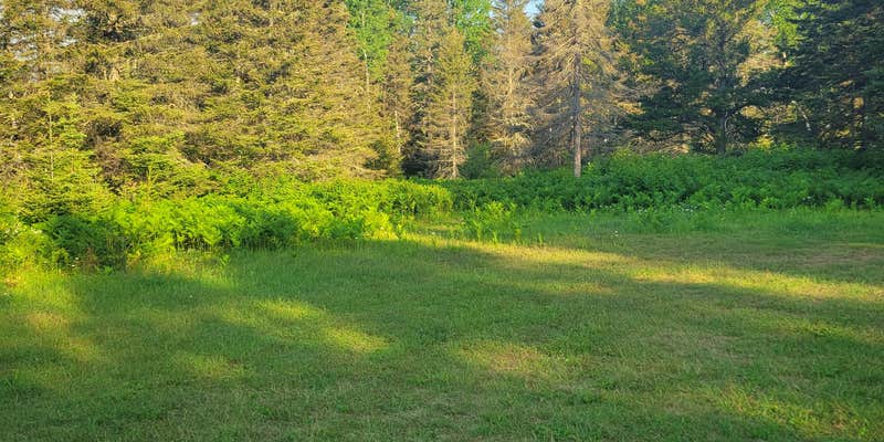 Camper submitted image from Harriet Lake Rustic Campground