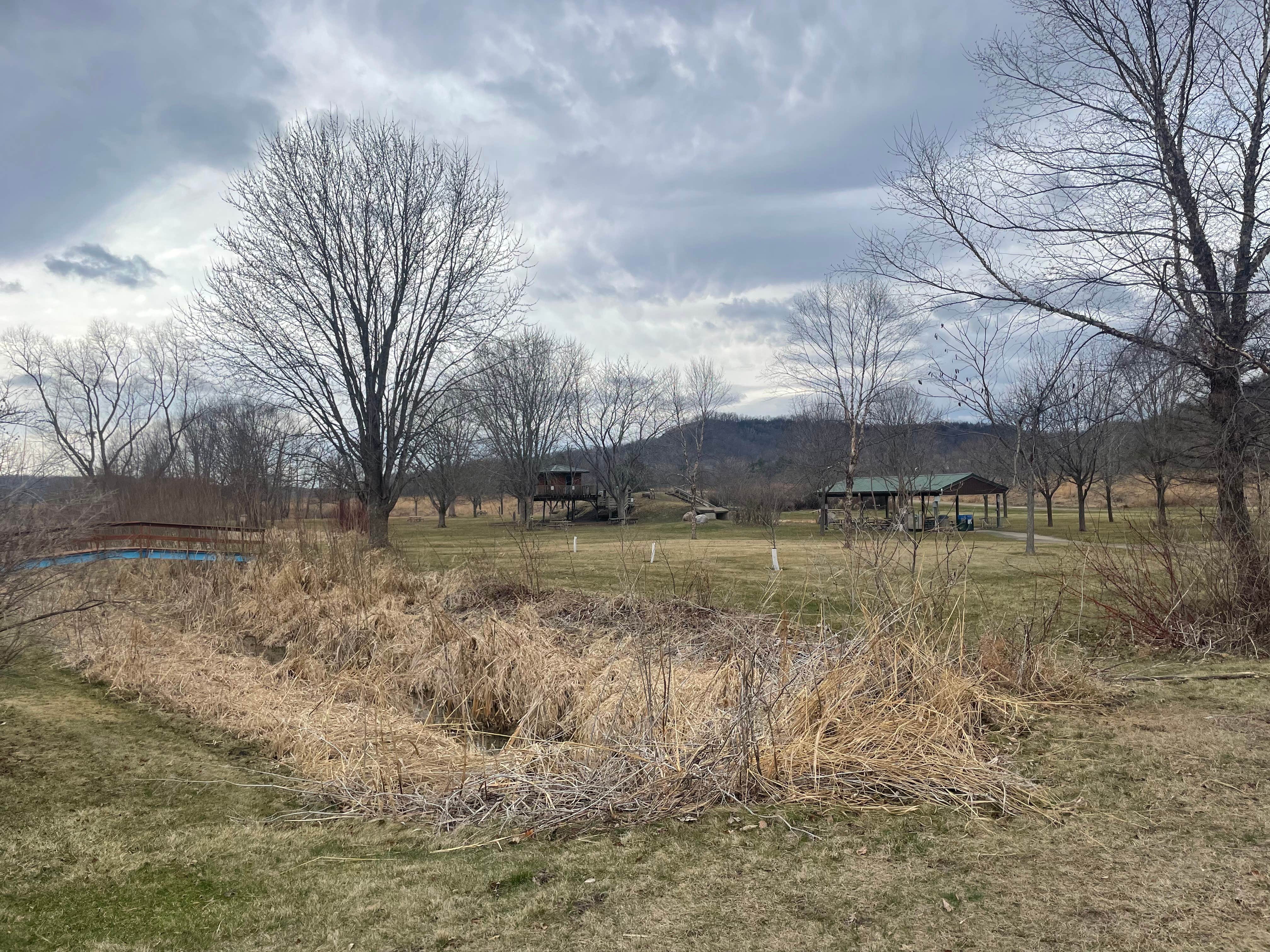 Camper-submitted photo at Houston Nature Center near Beaver, MN