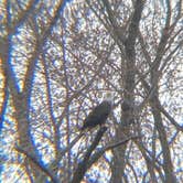 Review photo of Interstate State Park — Interstate State Park by Erik R., April 14, 2025