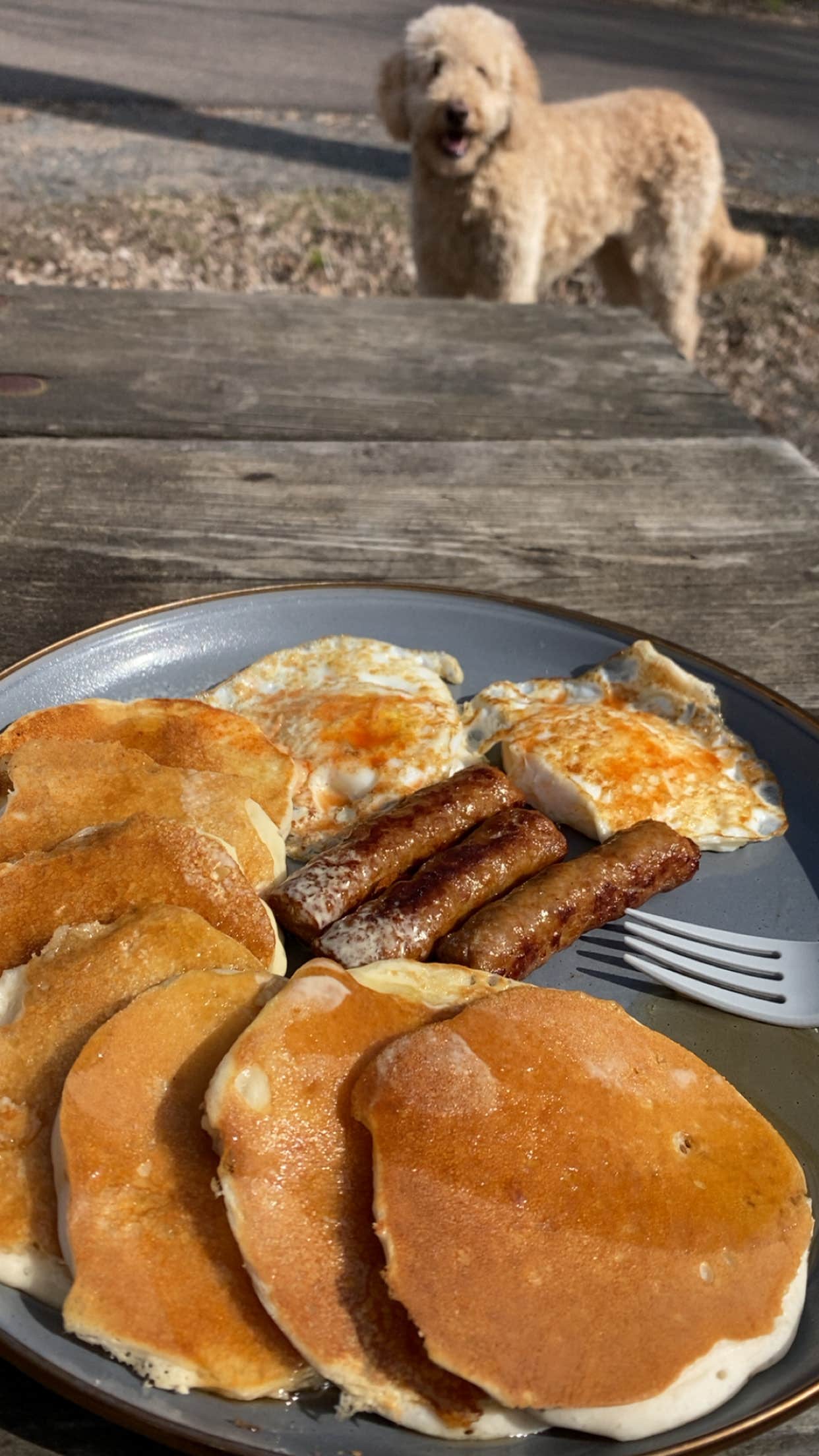 Erik R.'s photo of camping with pets at Interstate State Park — Interstate State Park near Marine on St. Croix, MN