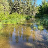 Review photo of Bear Paw Campground by Steve D., June 8, 2024