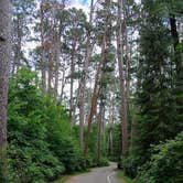 Review photo of Bear Paw Campground — Itasca State Park by Crystal R., June 12, 2026