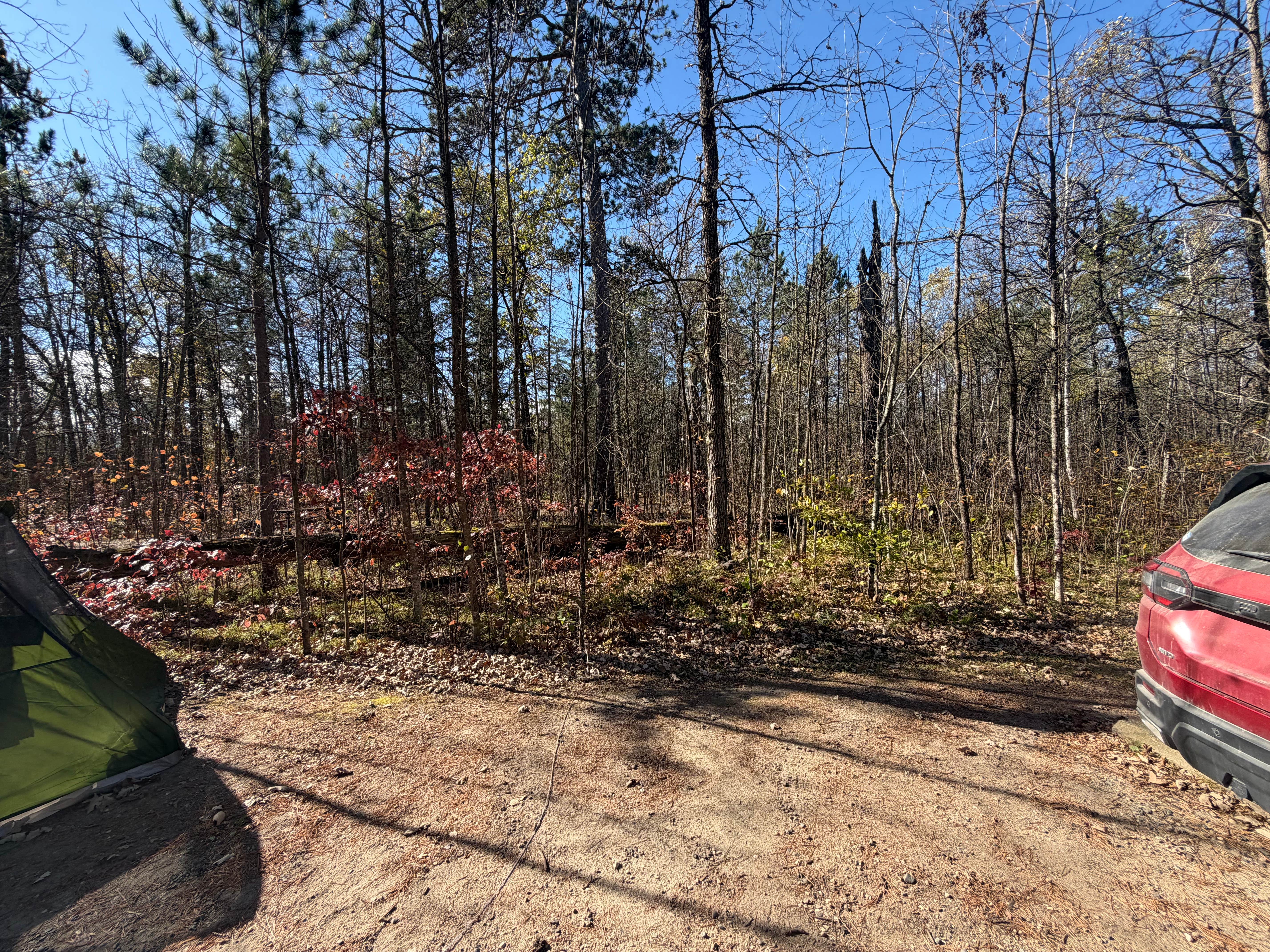 Kyle K.'s photo at Pine Ridge Campground — Itasca State Park near Bagley, MN