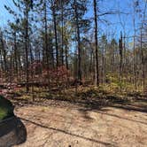 Review photo of Pine Ridge Campground — Itasca State Park by Kyle K., October 11, 2025