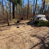 Review photo of Pine Ridge Campground — Itasca State Park by Kyle K., October 11, 2025