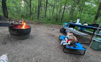 Maria D.'s photo of camping with pets at Pine Ridge Campground — Itasca State Park near Laporte, MN