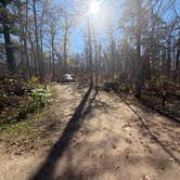Review photo of Pine Ridge Campground — Itasca State Park by Kyle K., October 11, 2025