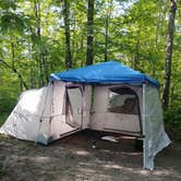 Review photo of Pine Ridge Campground — Itasca State Park by Crystal R., June 12, 2026
