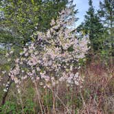 Review photo of Jay Cooke State Park Campground by Lydia N., February 10, 2025