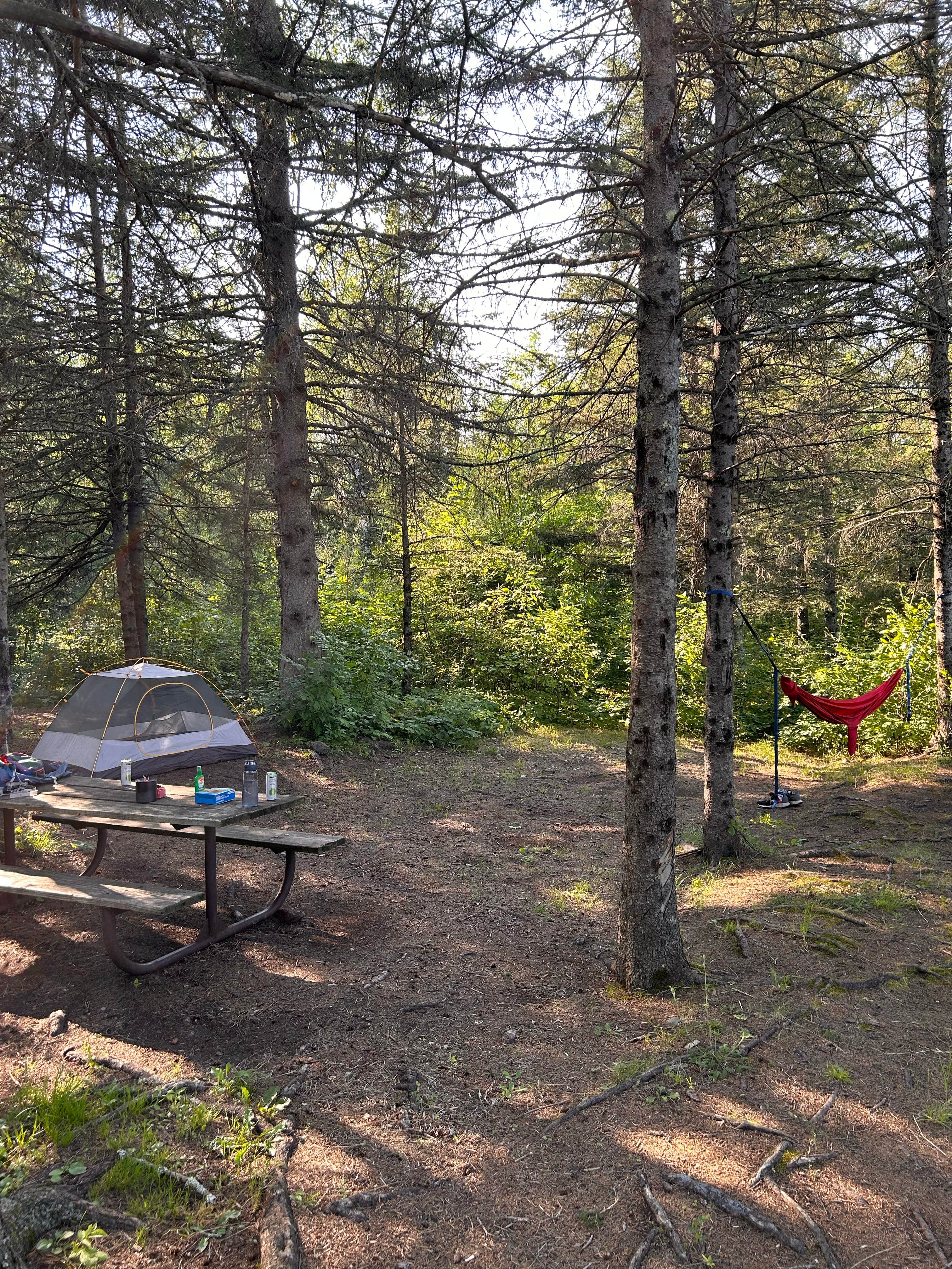 Bryan P.'s photo at Jay Cooke State Park Campground near Esko, MN