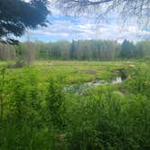 Review photo of Jay Cooke State Park Campground by Tori K., November 12, 2024