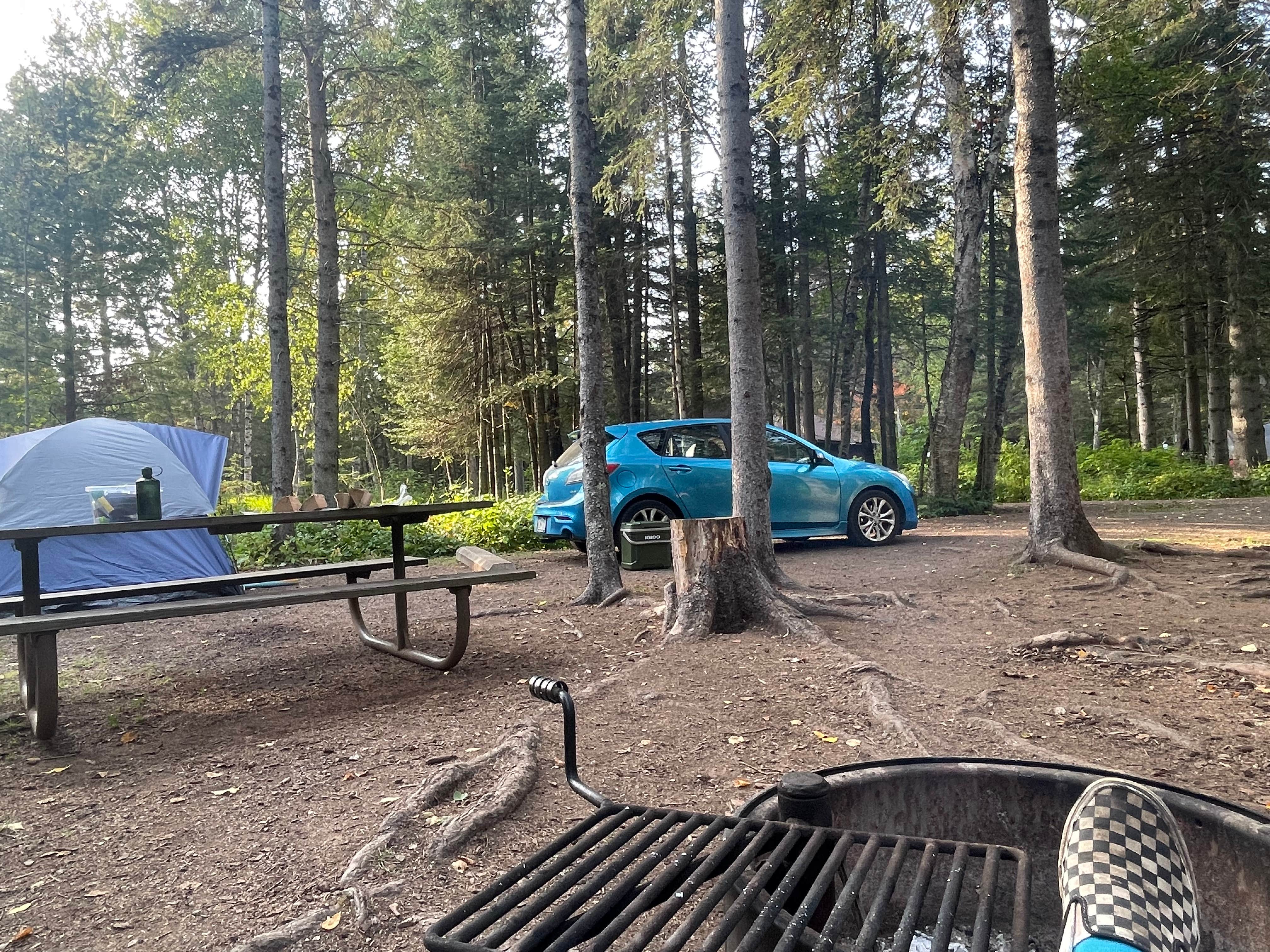 Emelia O.'s photo of tent camping at Judge C. R. Magney State Park Campground near Grand Marais, MN