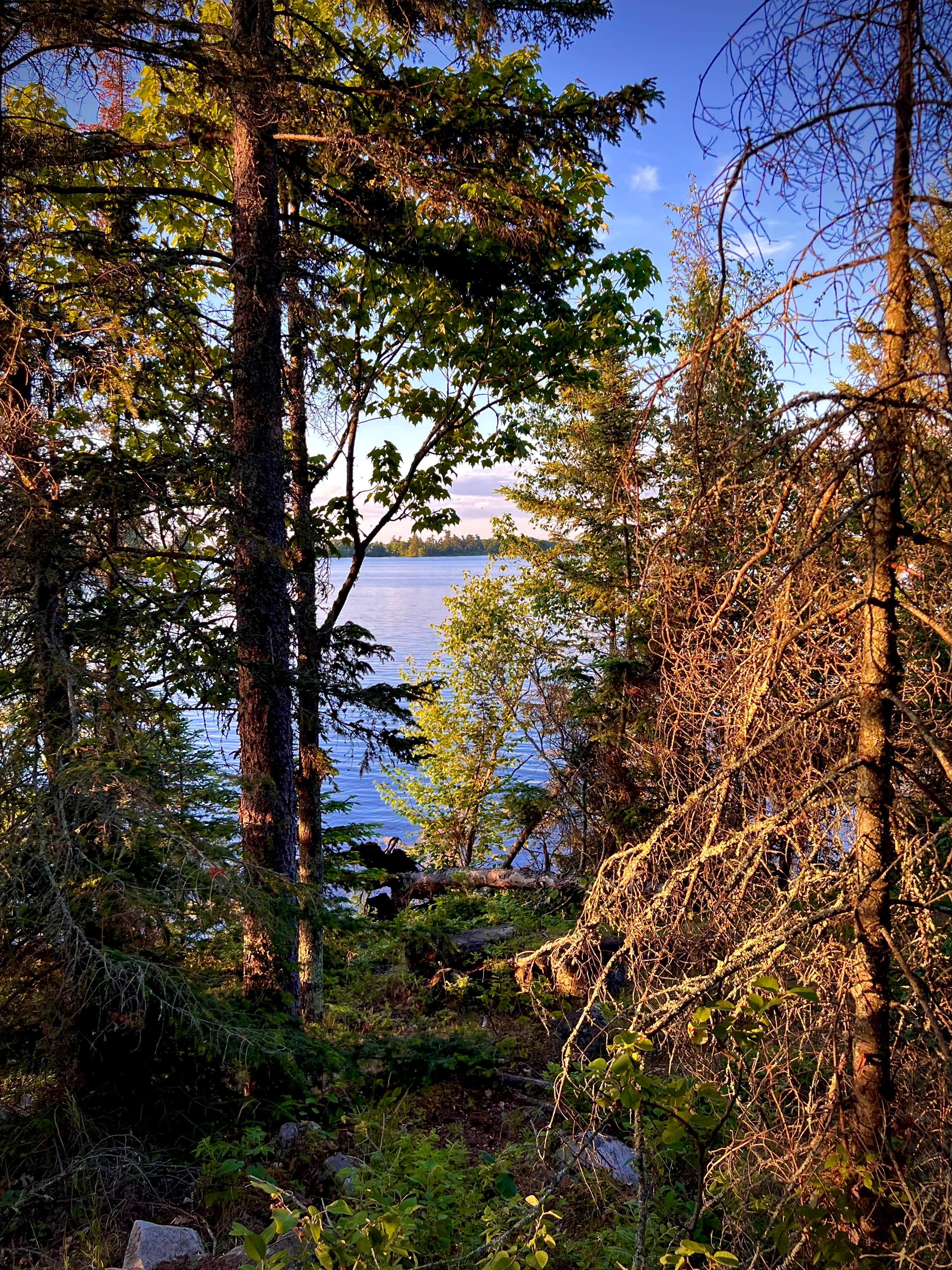 Camper-submitted photo at Kabetogama Lake Group Campsite near Voyageurs National Park