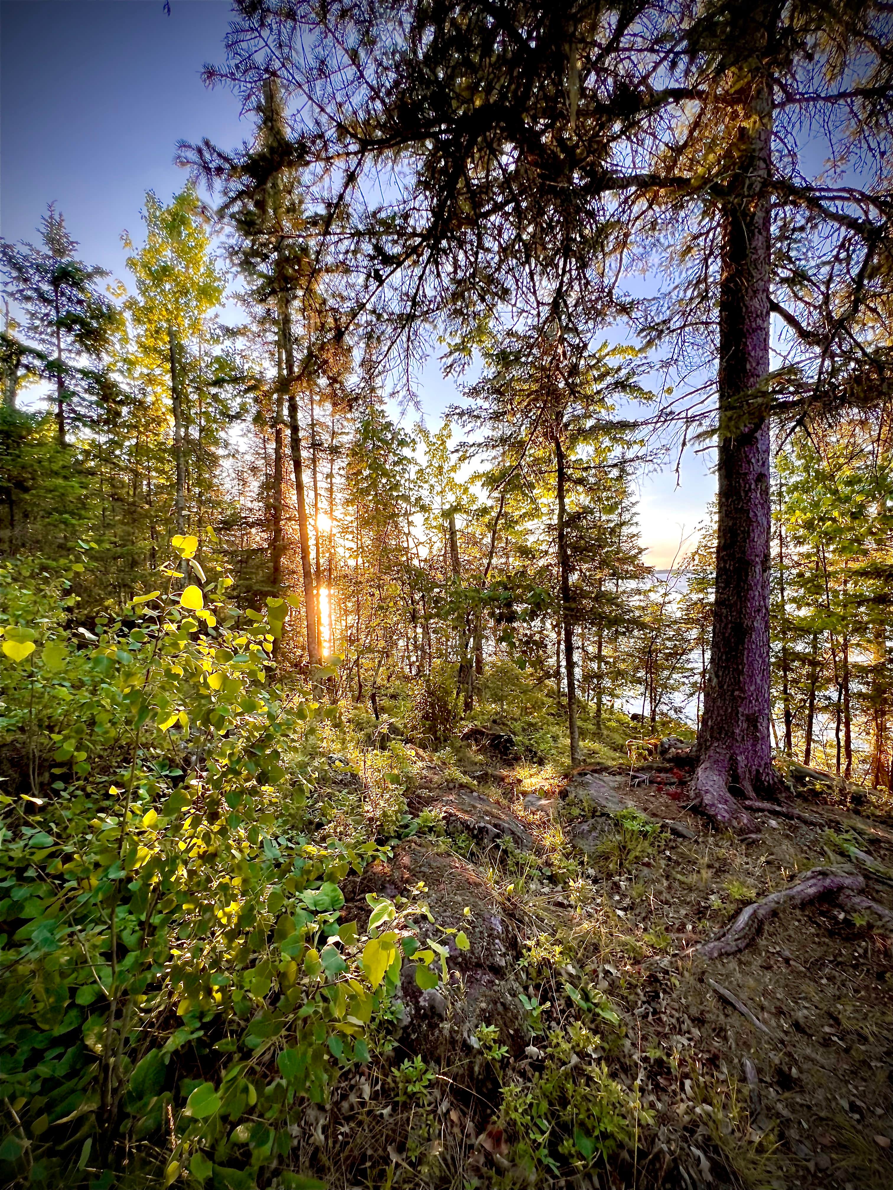 Camper-submitted photo at Kabetogama Lake Group Campsite near Voyageurs National Park