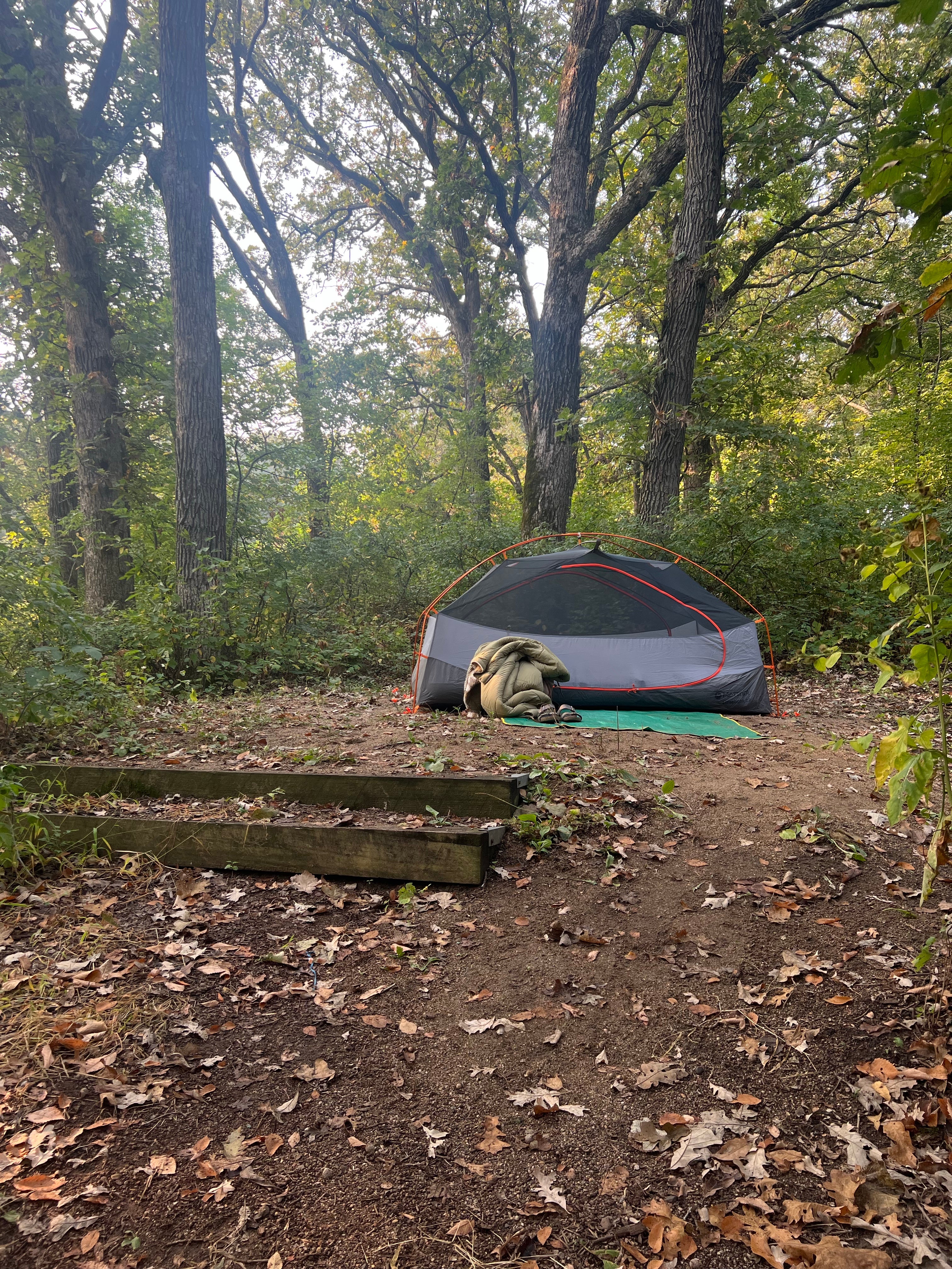 Camper submitted image from Kilen Woods State Park Campground - 5