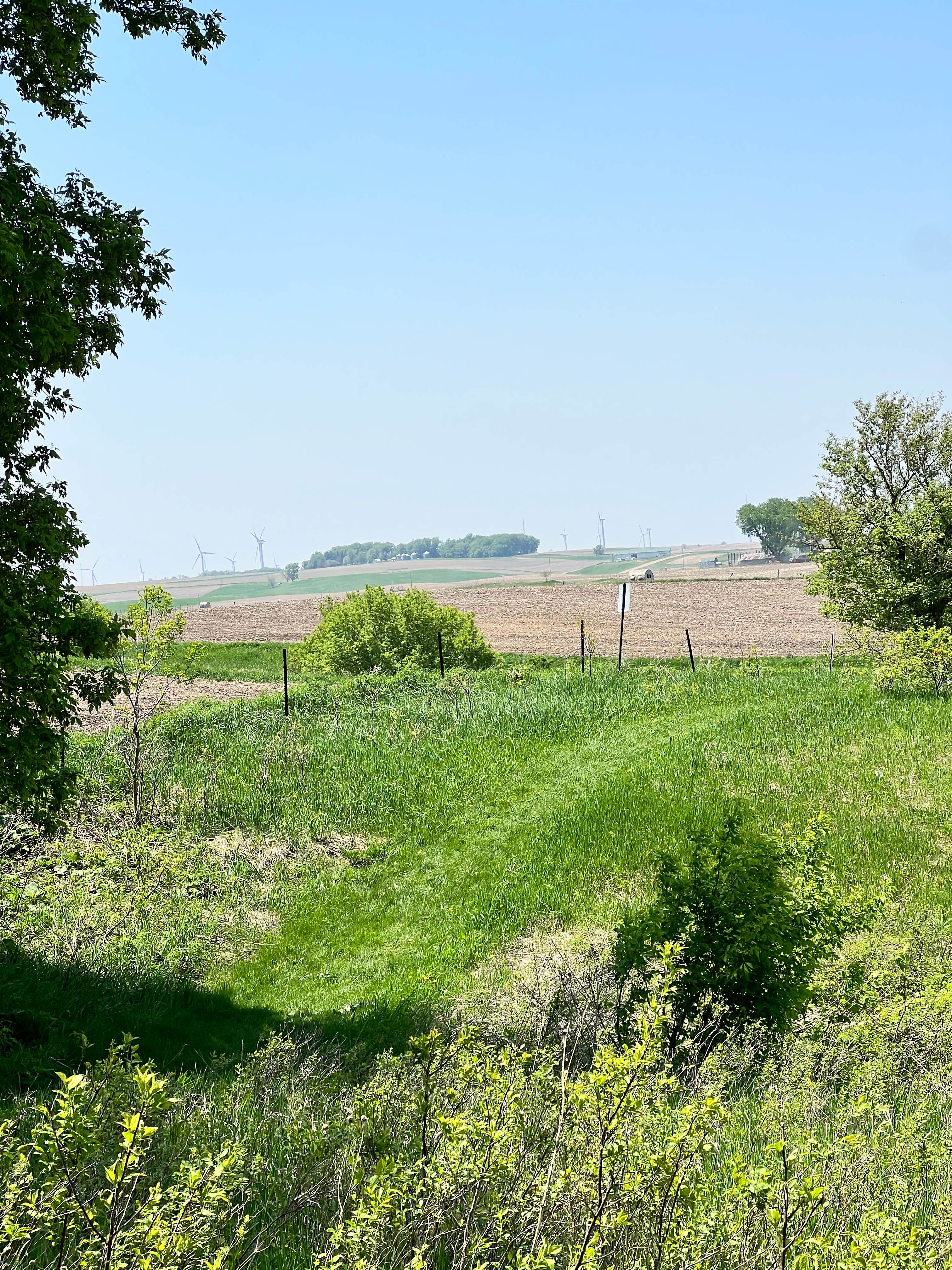 Camper-submitted photo at Kilen Woods State Park Campground near Spirit Lake, IA