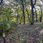 Review photo of Kilen Woods State Park Campground by Meg W., September 17, 2023