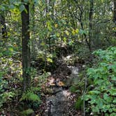 Review photo of Lebanon Hills Regional Park by Davis D., September 26, 2025