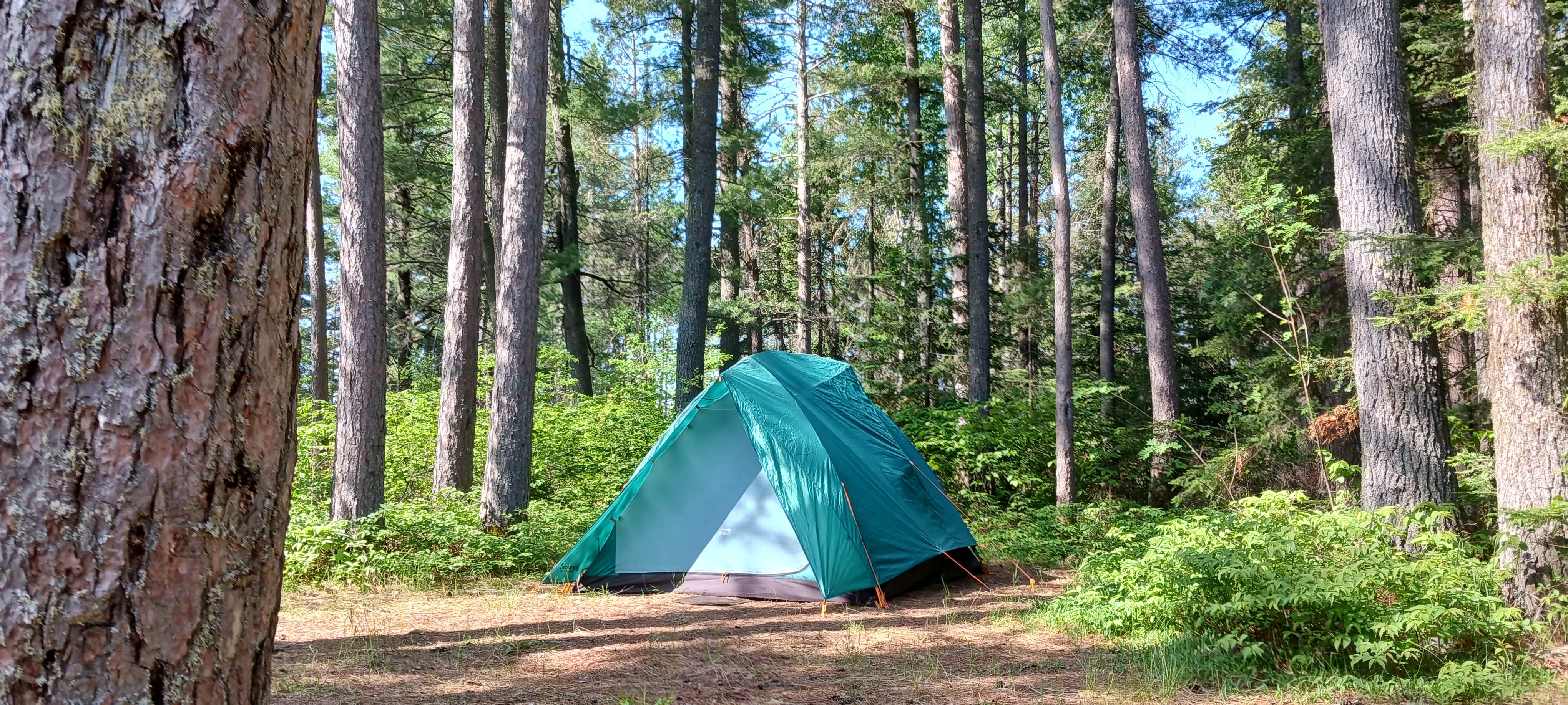 Camper submitted image from Little Isabella River Campground - 1
