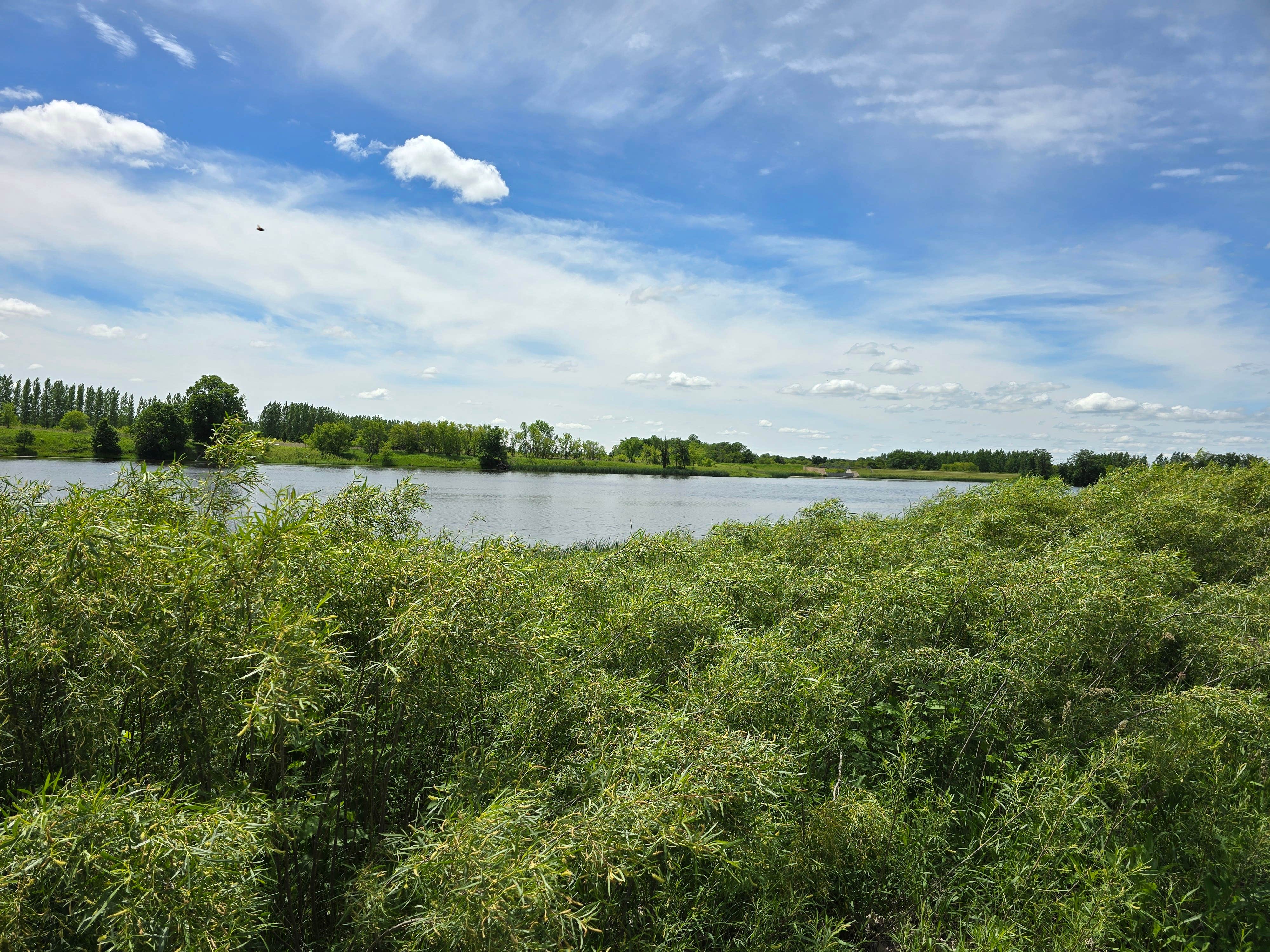 Camper-submitted photo at Marshall County Park at Florian near Foldahl, MN