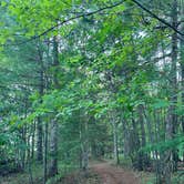 Review photo of Side Lake Campground — McCarthy Beach State Park by Linda S., July 17, 2026
