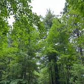 Review photo of Side Lake Campground — McCarthy Beach State Park by Linda S., July 17, 2026