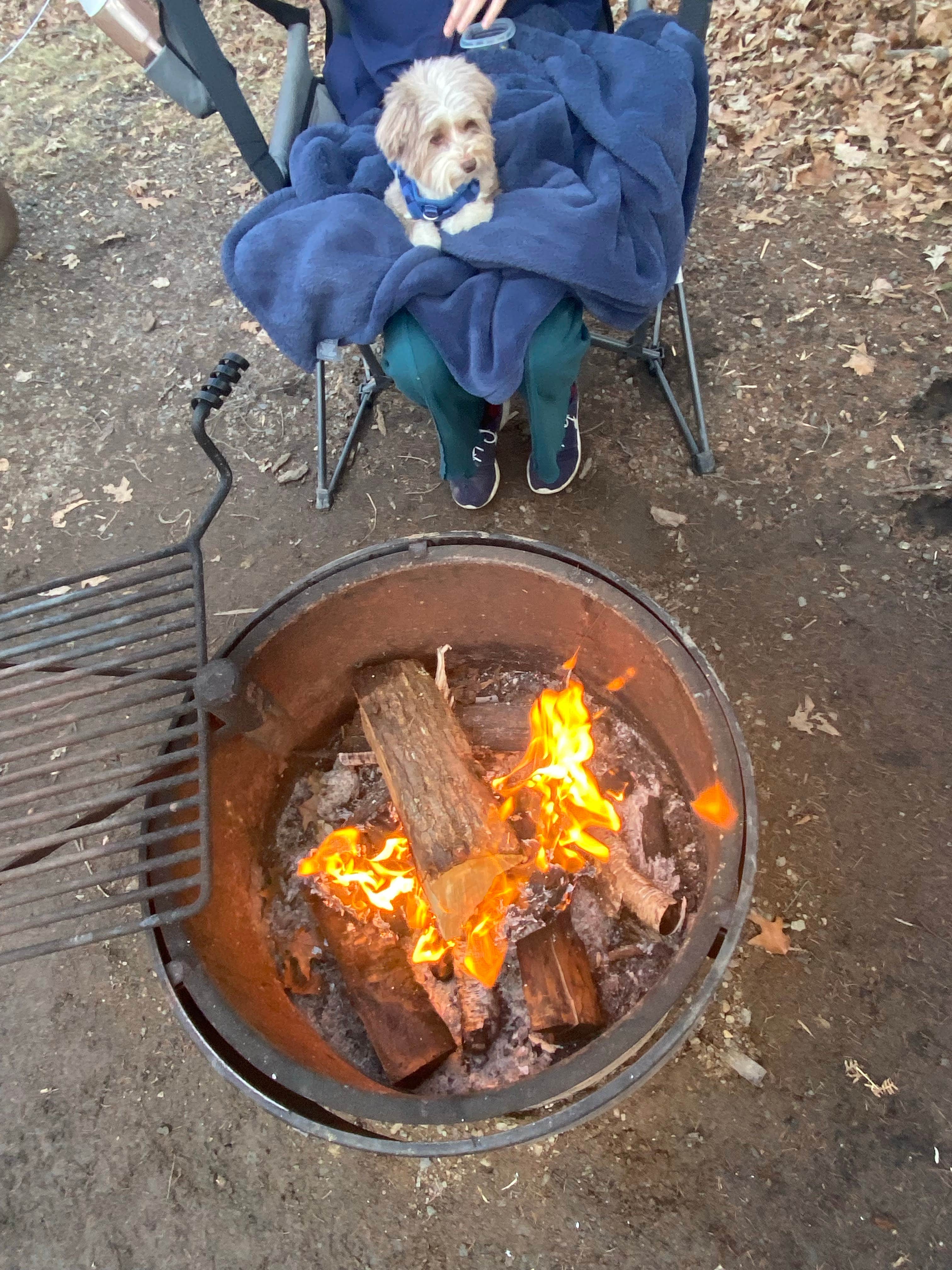 Camper-submitted photo at Mille Lacs Kathio Petaga Campground — Mille Lacs Kathio State Park near Holdingford, MN