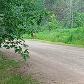 Review photo of Moose Lake State Park Campground by Crystal R., June 12, 2026