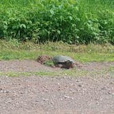 Review photo of Moose Lake State Park Campground by Crystal R., June 12, 2026