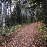 Review photo of Moose Lake State Park Campground by Tom , October 7, 2024