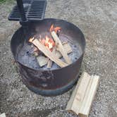 Review photo of Nerstrand Big Woods State Park Campground by Crystal R., June 12, 2026
