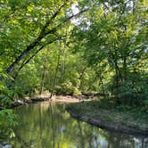 Review photo of Nerstrand Big Woods State Park Campground by Pad F., June 27, 2024